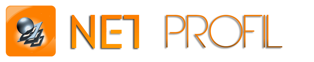 Logo net-profil